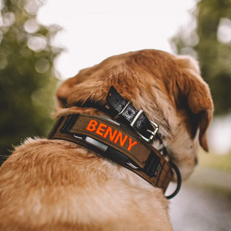 1.5" Extreme Personalized Fi Collar Band (Series 1 &2)