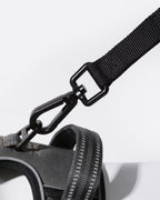 Heavy Duty Bungee Dog Leash - Classic Black