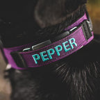 1.5" Extreme Personalized Fi Collar Band (Series 1 &2)
