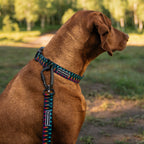 Marina Ultralight Leash