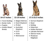Personalized 1.5" Basic Tactical Dog Collar