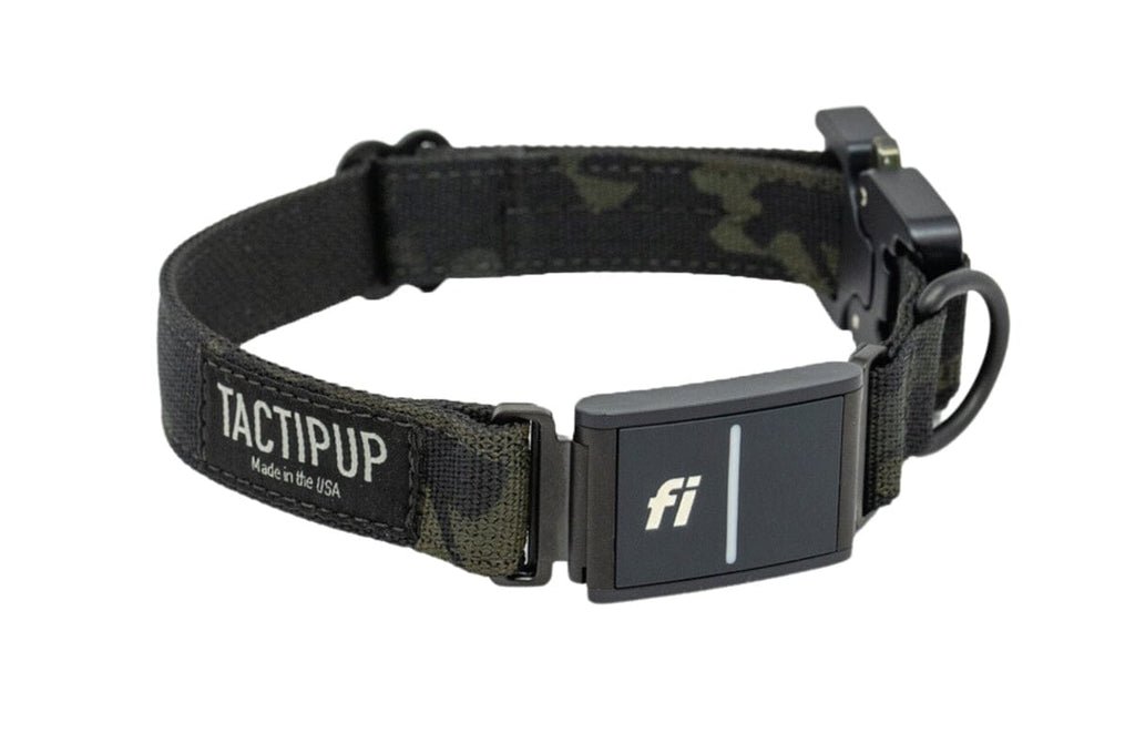 1" Extreme Fi Collar Band (Series 3/3+)