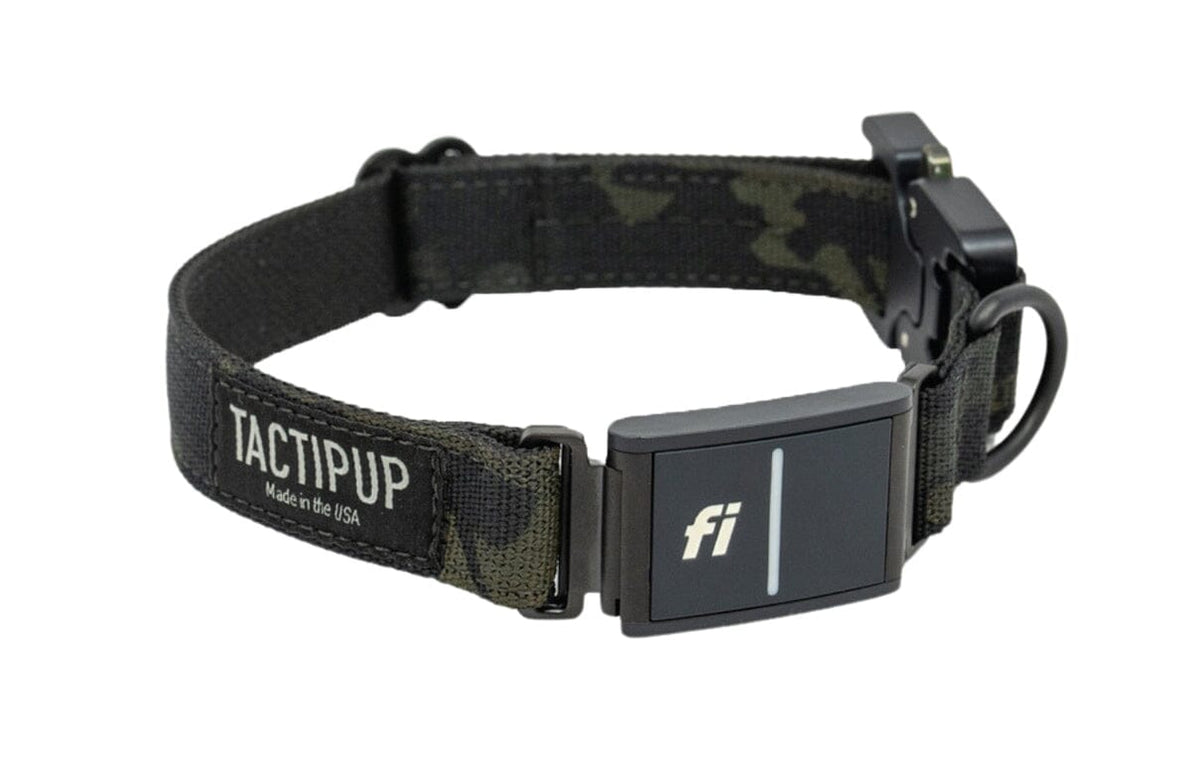 1" Extreme Fi Collar Band (Series 3/3+)