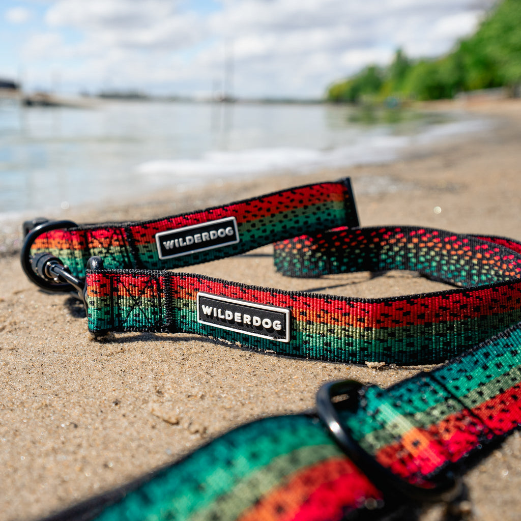 Trout Ultralight Leash