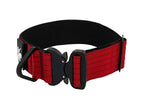 Extreme Personalized 2" Dog Collar