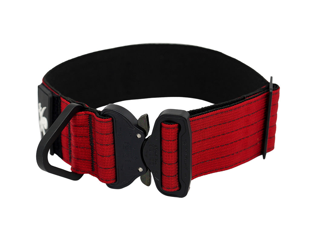 Extreme Personalized 2" Dog Collar